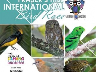 FRASER’S HILL INTERNATIONAL BIRD RACE - 07-09 JUNE 2024