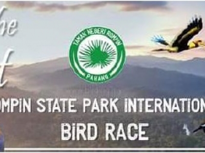 ROMPIN STATE PARK BIRD RACE - OCTOBER, 2023