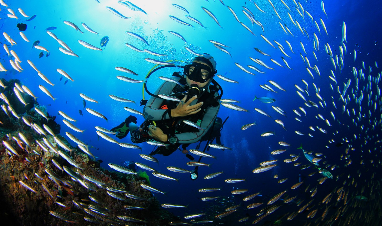 Scuba Diving