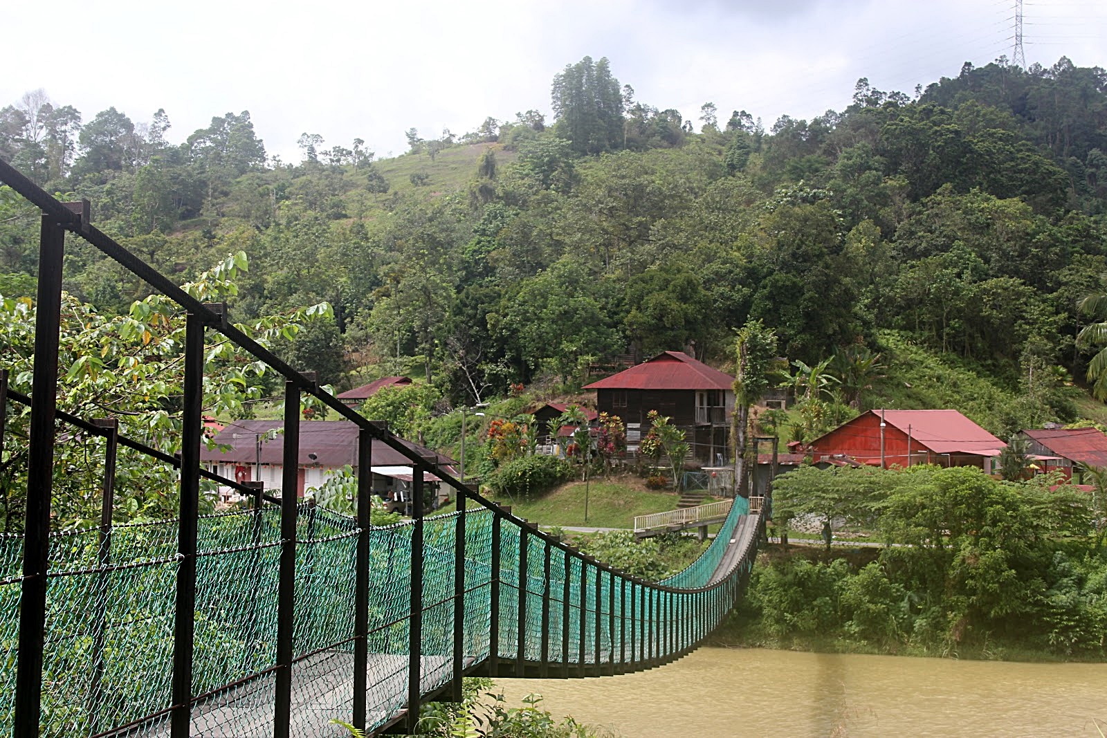 Hanging Bridge