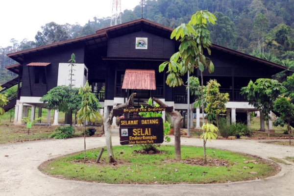 Endau-Rompin State Park